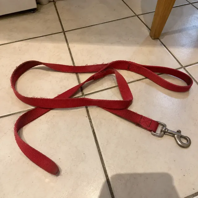 Foto: Hundeleine rot, 2 m