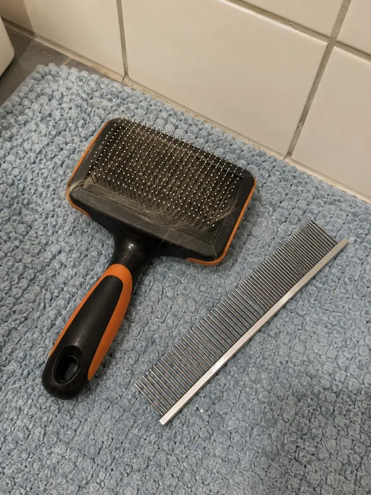 Foto: Zupfbürste und Metallkamm