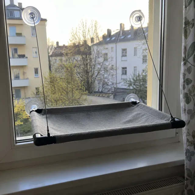 Foto: Katzen-Fensterliege mit Saugnäpfen