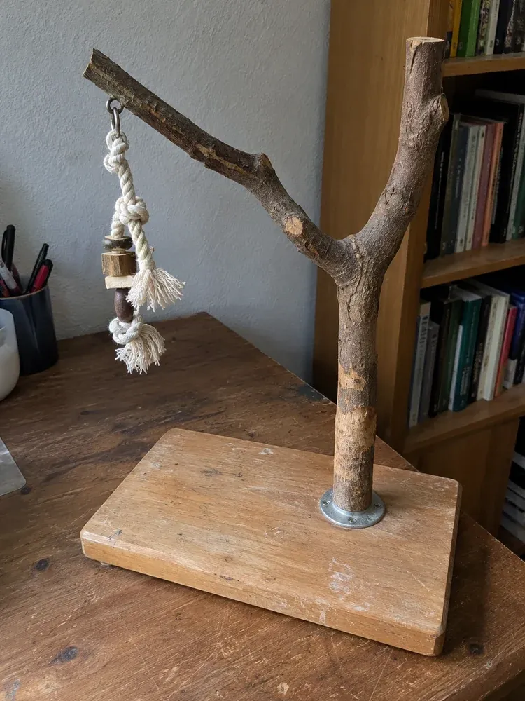Foto: Vogel-Freisitz mit Naturast